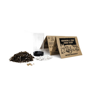 Coast Redwood - Seed Grow Kit