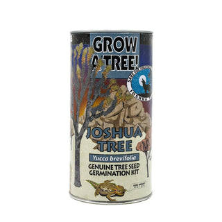 Joshua Tree | Seed Grow Kit