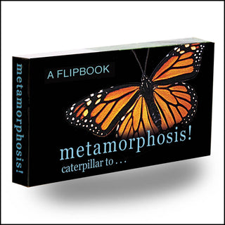 Butterfly Metamorphosis Flipbook