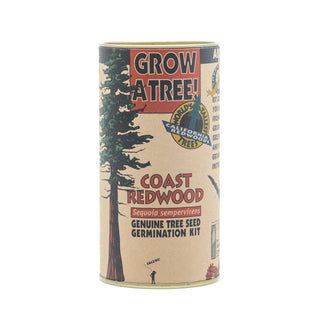 Coast Redwood - Seed Grow Kit