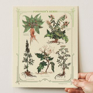 Poisoner's Herbs Art Print