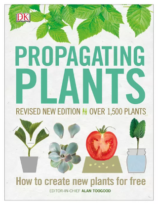 Propagating Plants: How to Create New Plants for Free