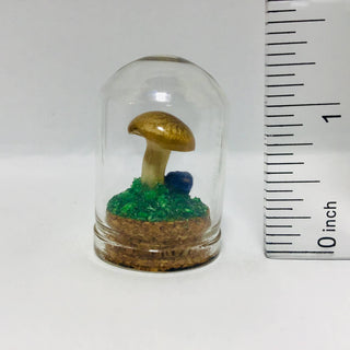 Mushroom Curiosity Jar - Real Fungi Curio 1.25"