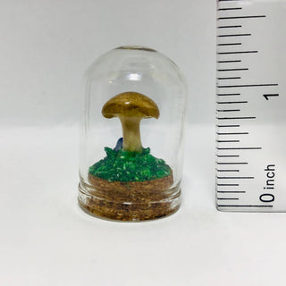 Mushroom Curiosity Jar - Real Fungi Curio 1.25"