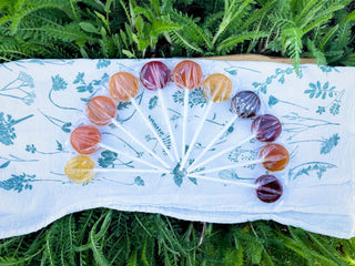 Plants & Planets Lollipops Winter Collection