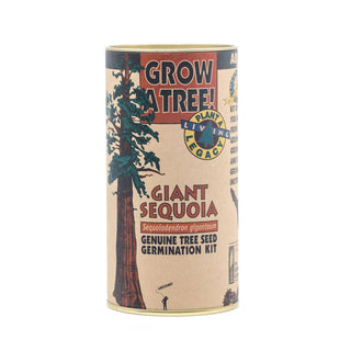 Giant Sequoia | Seed Grow Kit