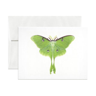 Open Sea | Luna Moth Greeting Card