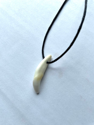 Coyote Tooth Necklace