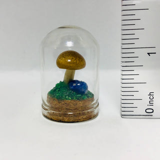 Mushroom Curiosity Jar - Real Fungi Curio 1.25"